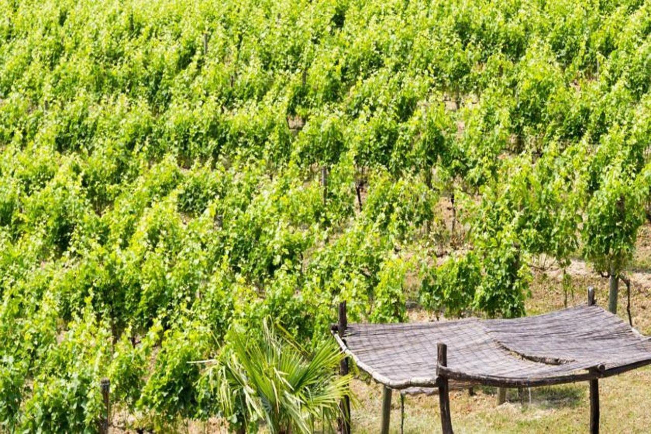 ארקו Residence La Vigna מראה חיצוני תמונה
